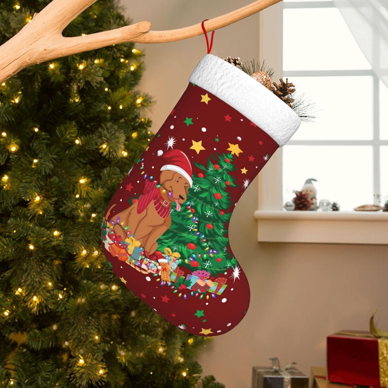 Christmas Dog Light Design 17. - Christmas Stocking Hanging review and price
